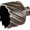 Milwaukee 49-59-2012 2-1/8 In. X 1 In. Annular Cutter